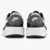 Grijze Air Max Sc