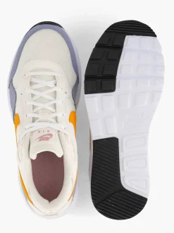 Grijze Air Max Sc