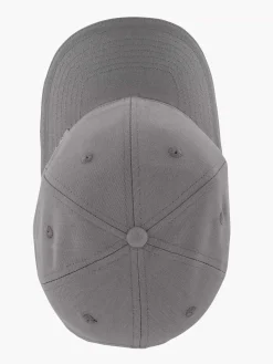Grijze Pet