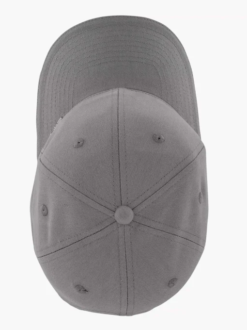 Grijze Pet