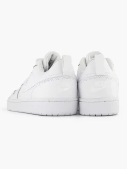 Witte Court Borough Low 2
