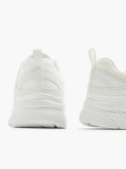 Witte Sole Provider - Brief History
