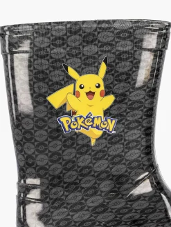 Zwarte Regenlaars Pokemon