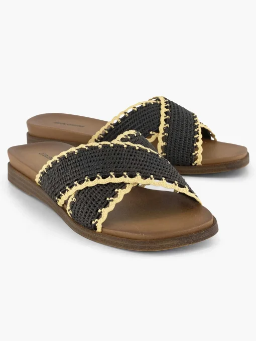 Zwarte Slipper