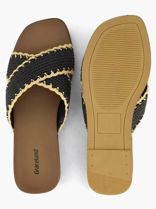 Zwarte Slipper